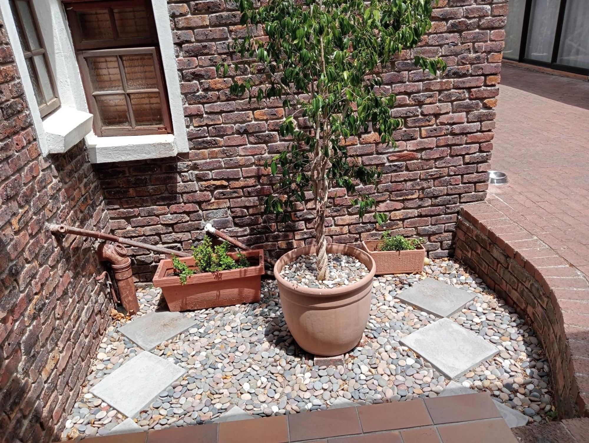 كيب تاون Marinda'S B&B المظهر الخارجي الصورة