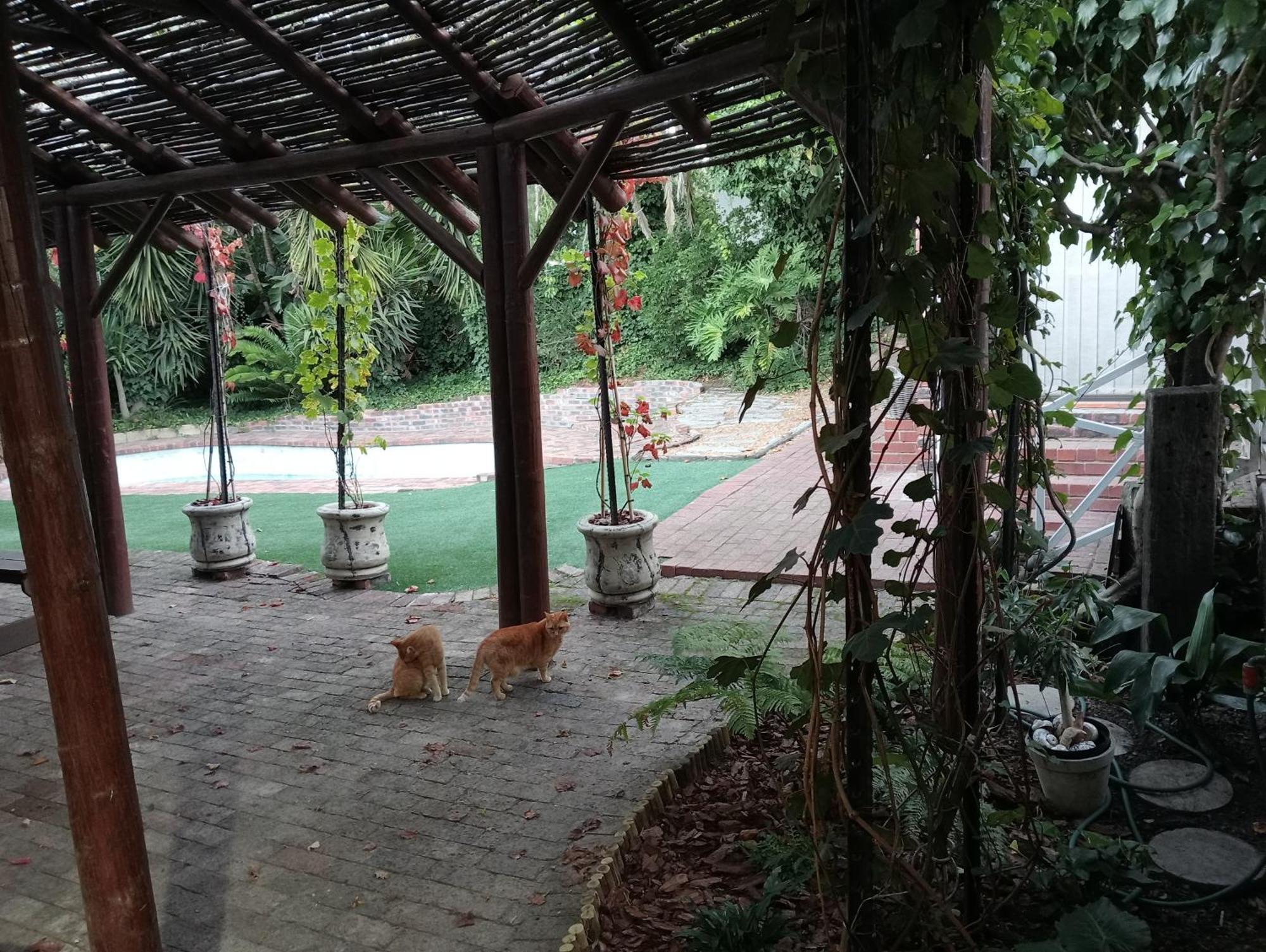 كيب تاون Marinda'S B&B المظهر الخارجي الصورة